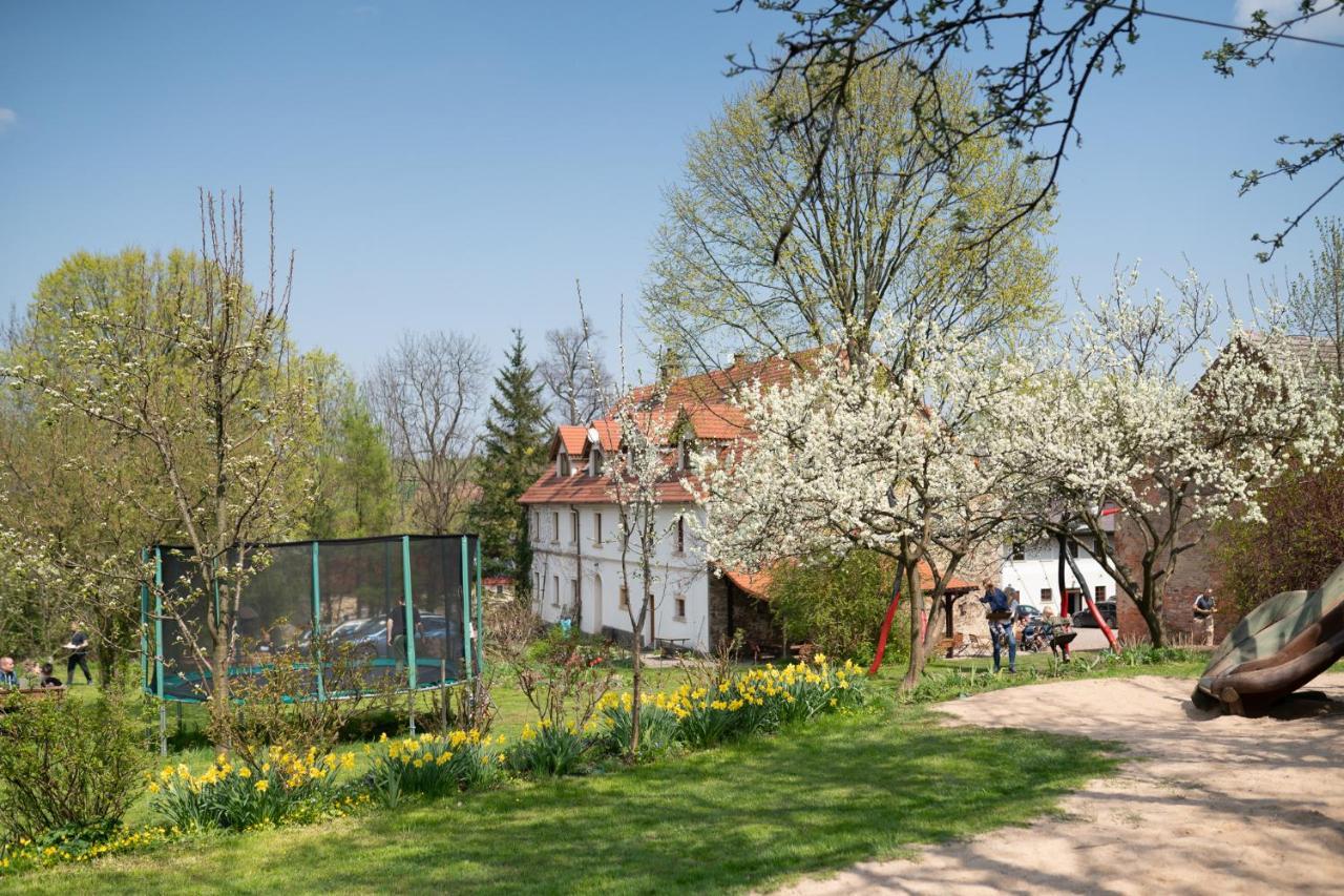Villa Greta Świerzawa Exterior foto